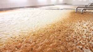 Fermentação da cerveja Fermentação da cerveja