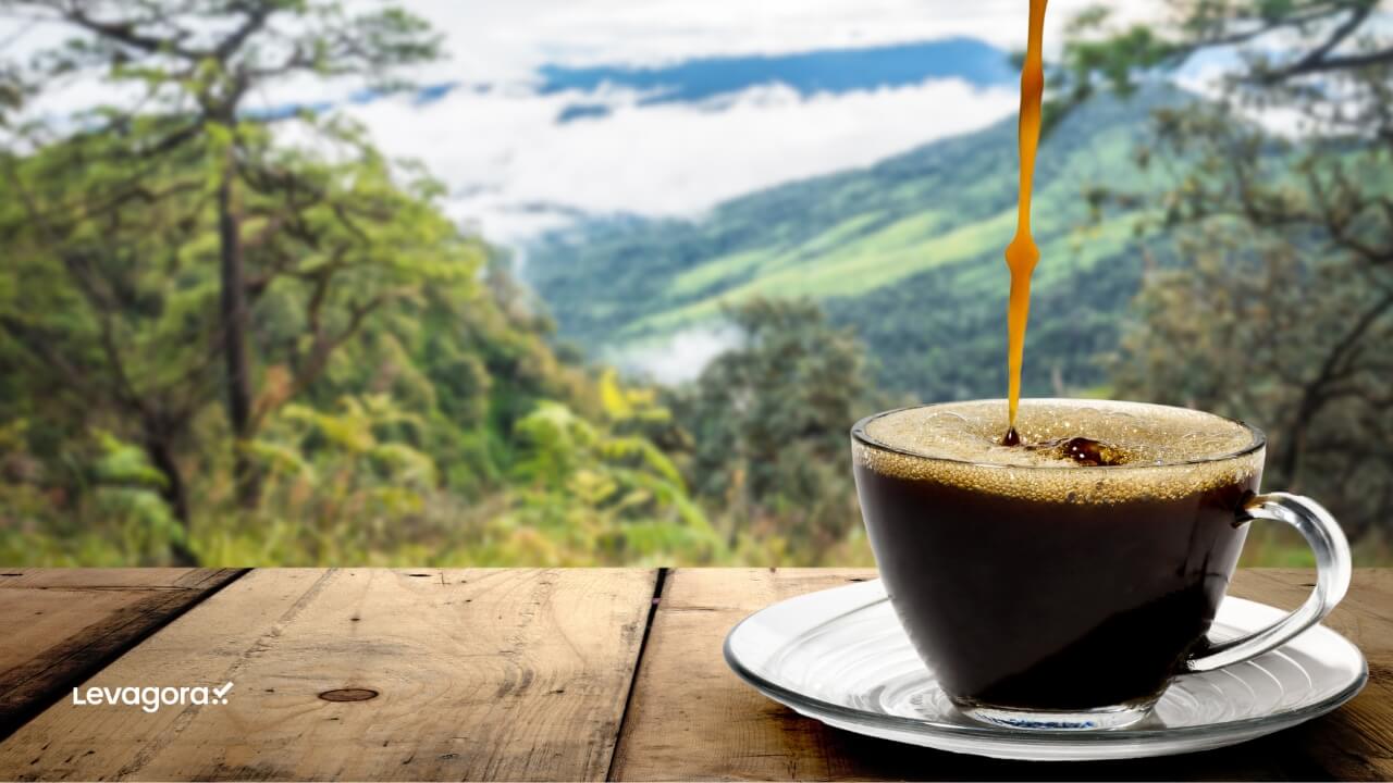 Impacto Ambiental do Café Especial