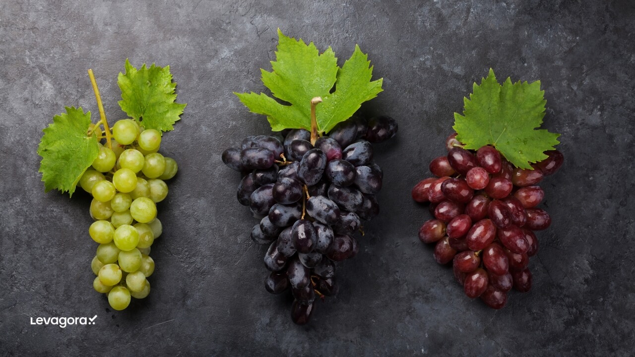 Tipo de Uva, Método de Fermentação e Origem