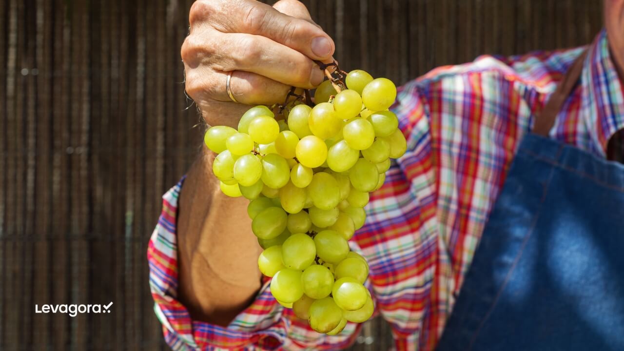 Etapas do processo de produção