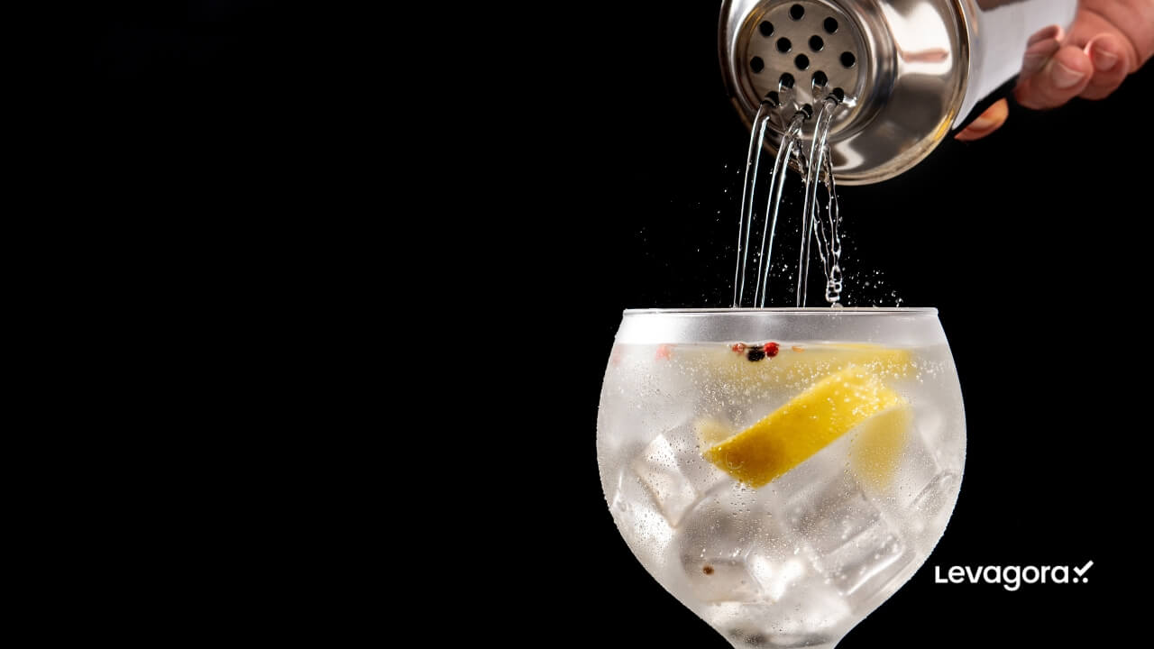 Gin Sofisticação e Versatilidade em Uma Garrafa