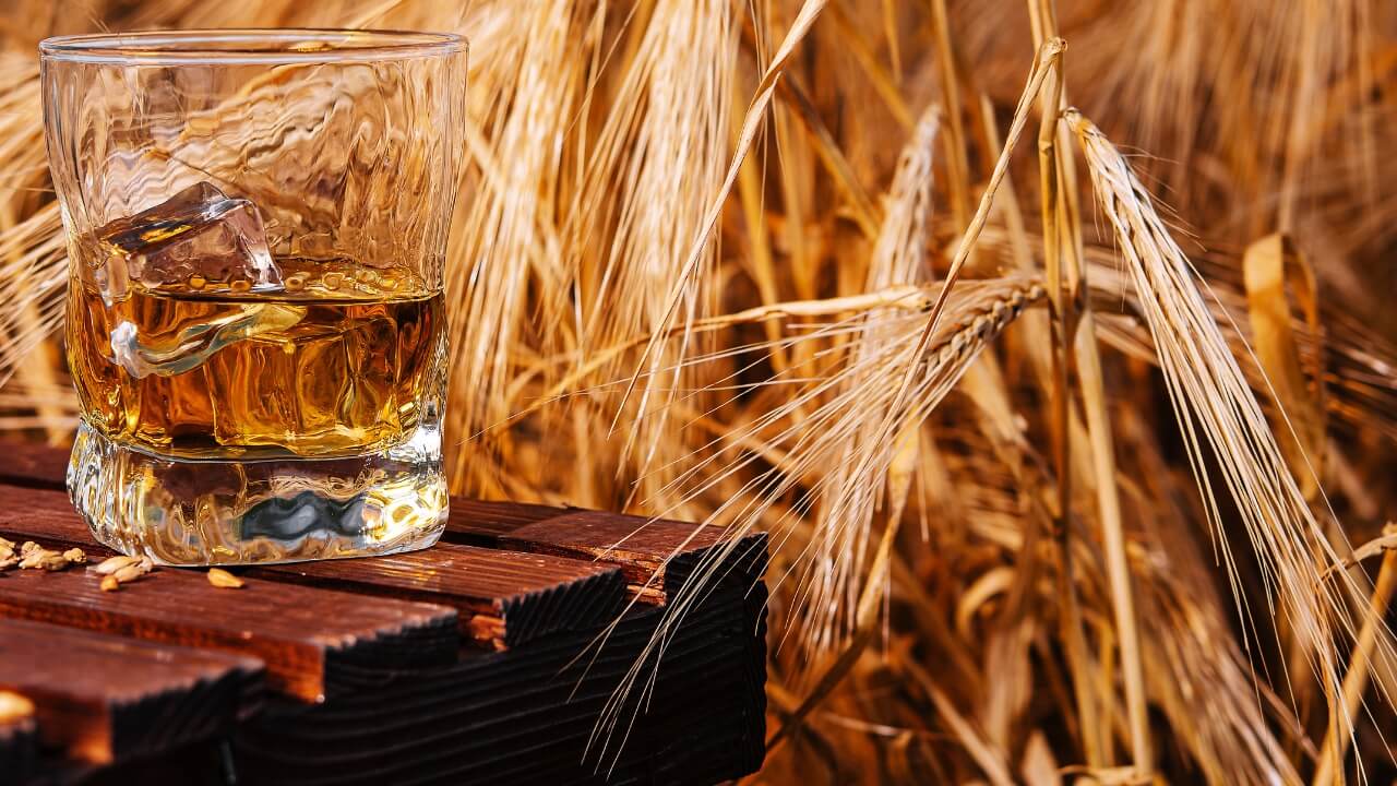 Como é Feito o Whisky Processo de Criação Passo a Passo