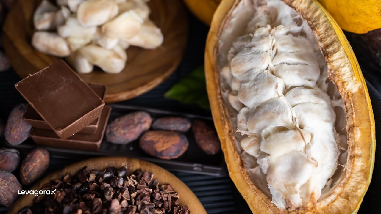 Consumo Consciente e Ingredientes de Origem Rastreável