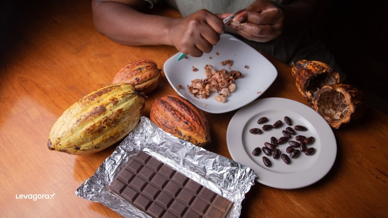 Curiosidades Históricas Sobre o Chocolate