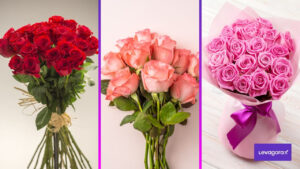 Flores para o dia dos namorados pra ela Flores para o dia dos namorados pra ela