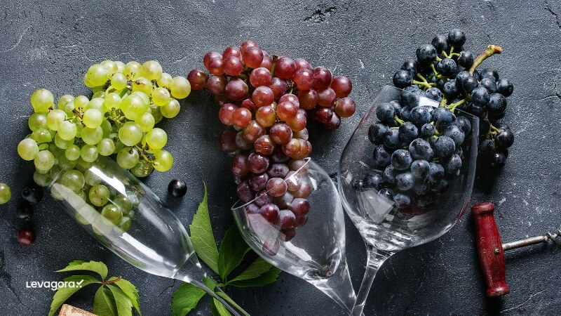 Tipos de Uvas e o Impacto no Sabor do Vinho