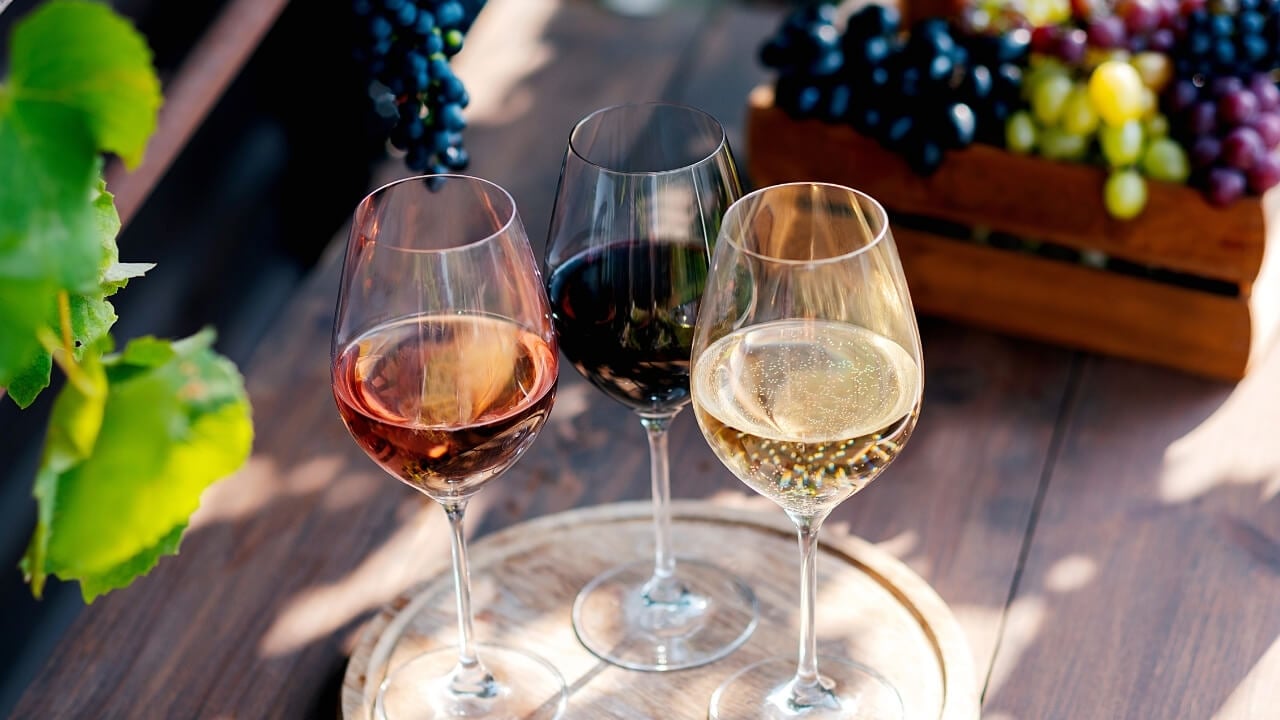 Tipos de Vinhos Guia Completo para Iniciantes e Amantes da Enologia
