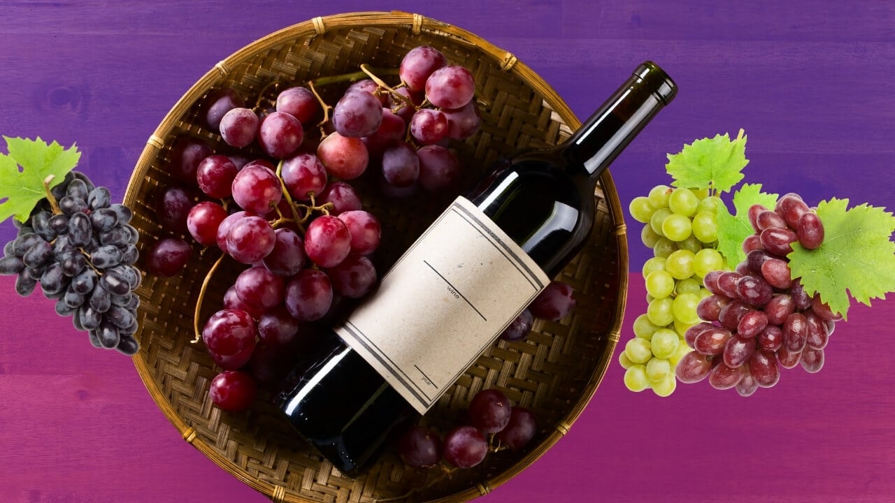 Tipos de Uvas para Vinho Conheça os Principais e Características