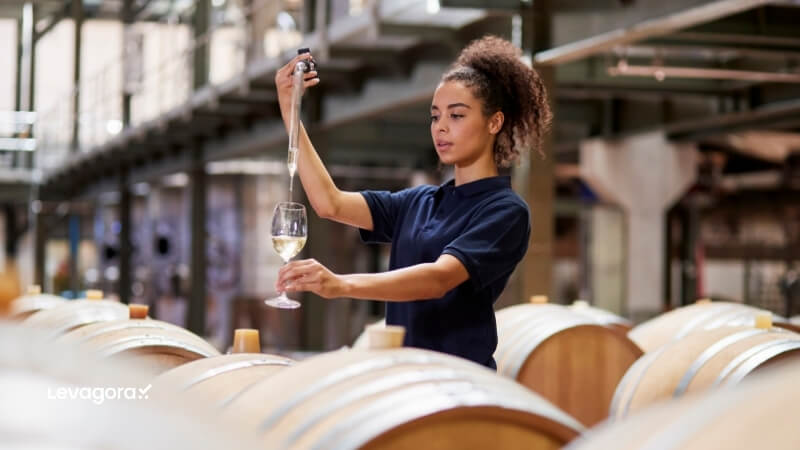 A ciência do vinho e a influência no sabor e qualidade