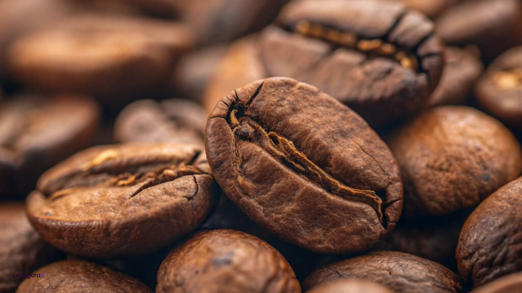 Café Robusta (Conilon) Intensidade e Cafeína