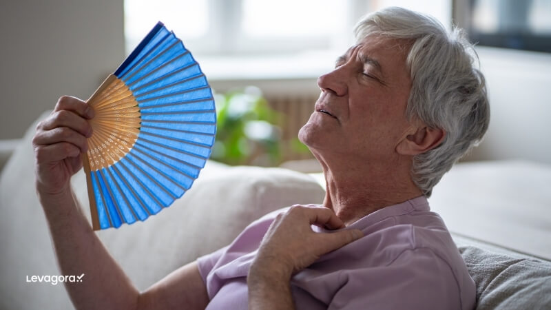 Como o calor excessivo impacta o bem-estar e a rotina