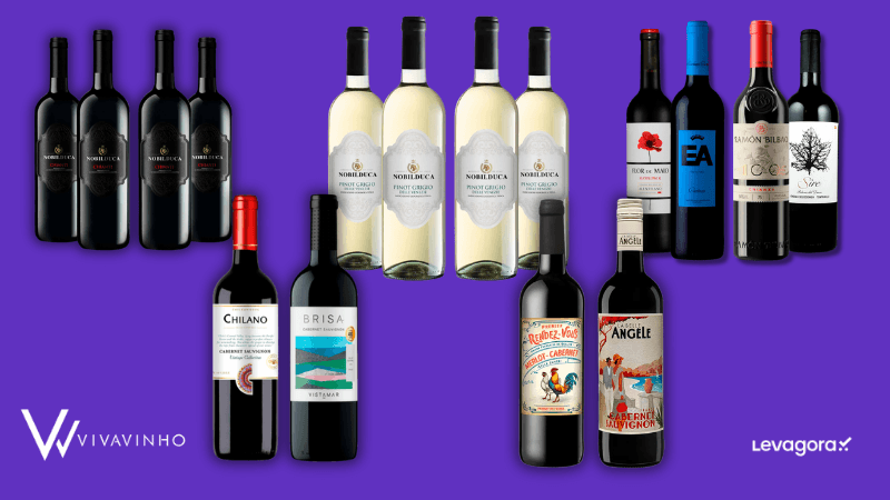 Os 5 Melhores Kits de Vinho da Vivavinho Composição com várias garrafas de vinho tinto e branco organizadas em grupos sobre um fundo roxo, ilustrando os 5 melhores kits de vinho da Vivavinho.